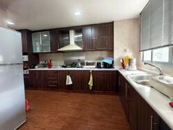 Chuan Green (D19), Terrace #524614971